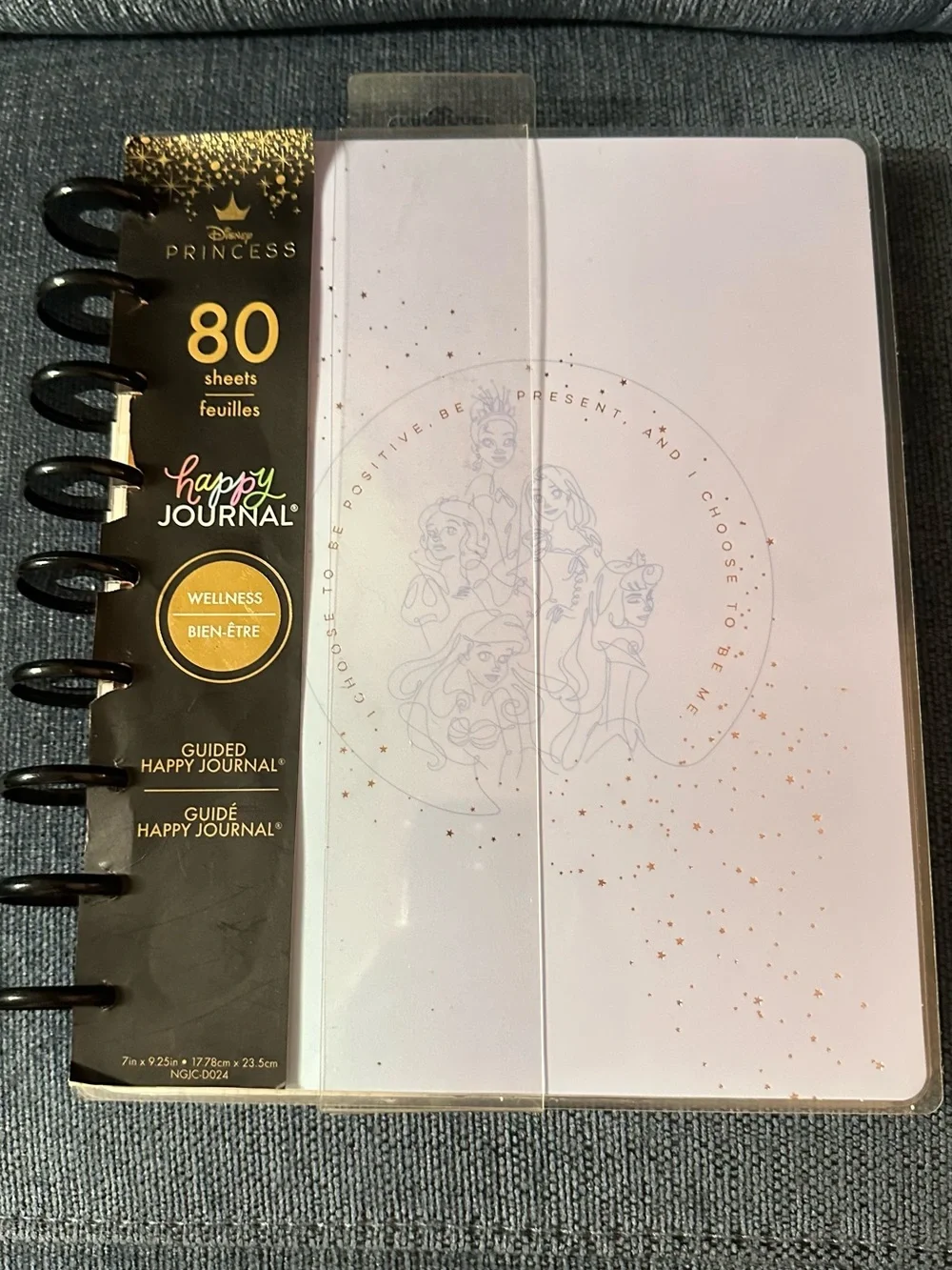 READ DESCRIPTION The Happy Planner Princess Guided Wellness Journal Classic Size